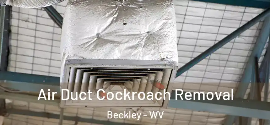  Air Duct Cockroach Removal Beckley - WV