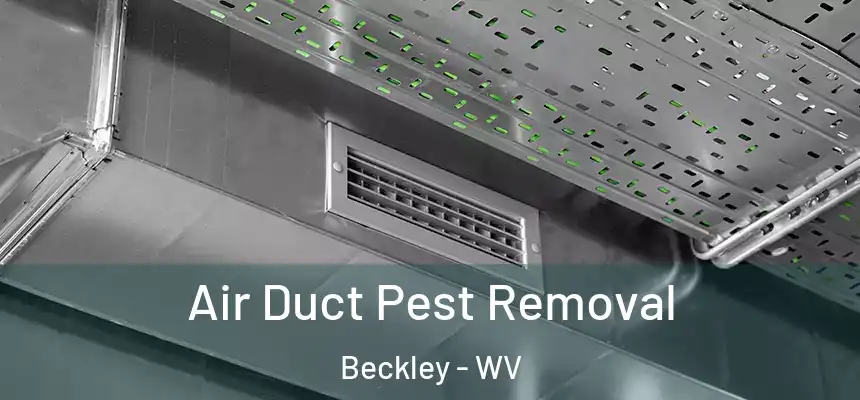  Air Duct Pest Removal Beckley - WV