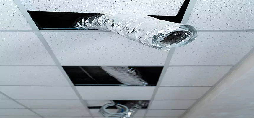 Affordable HVAC Sanitizing After Pest Removal in Beckley