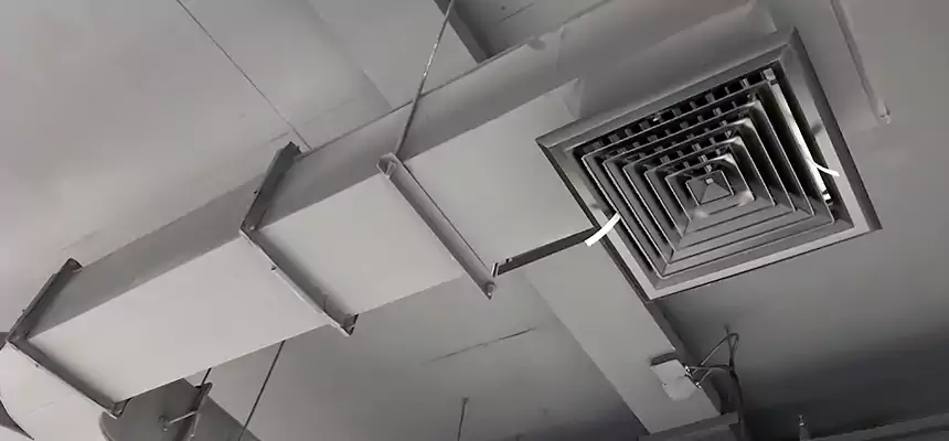 Restorative Allergy Relief Vent Cleaning – Coil, Blower & Housing Detail in Beckley