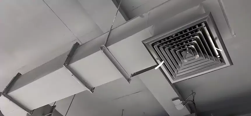 Our Pest Removal From Ducts Services in Beckley, WV