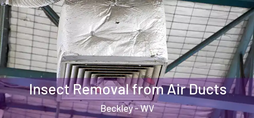 Insect Removal from Air Ducts Beckley - WV