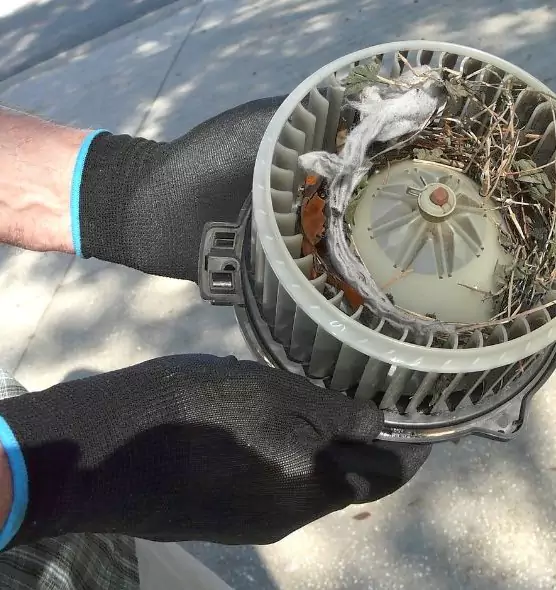 About Air Duct Mice Removal in Beckley, WV