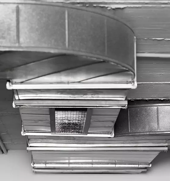 Professional Air Duct Pet Hair Removal in Beckley, WV