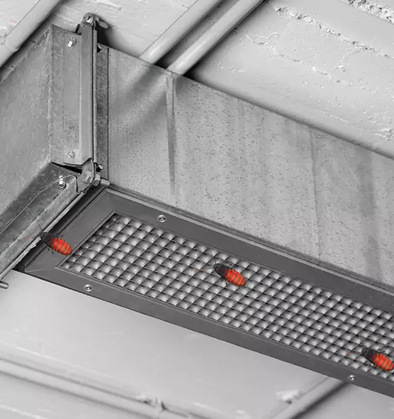 Affordable Insect Removal from Air Ducts in Beckley, WV