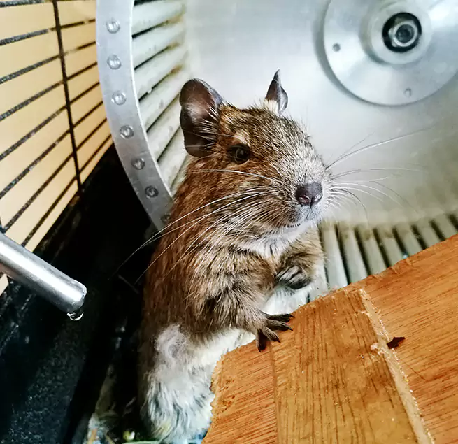 Why Homeowners & Businesses Trust Us Beckley, WV