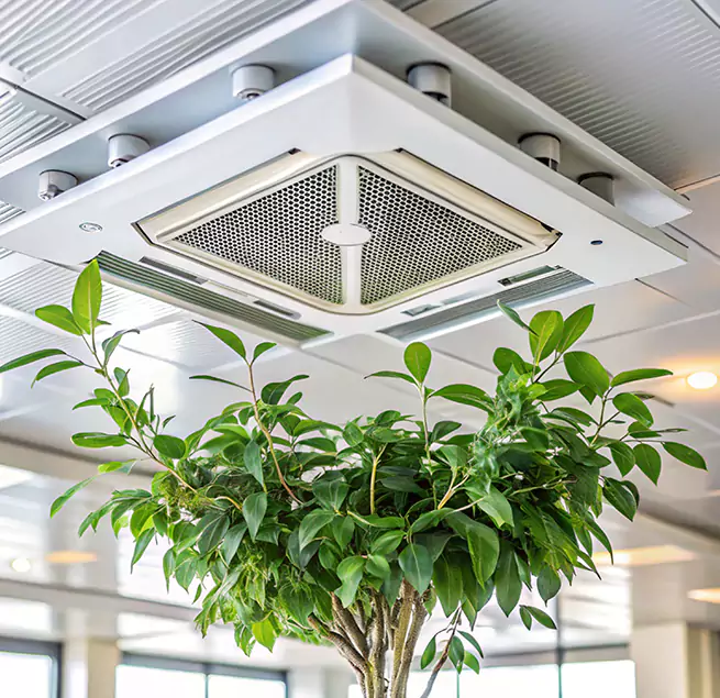 Why Homeowners & Businesses Trust Us in Beckley, WV?